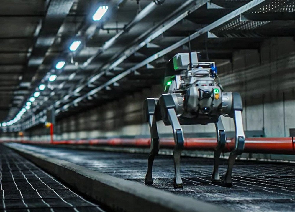 X30 quadruped robot dog